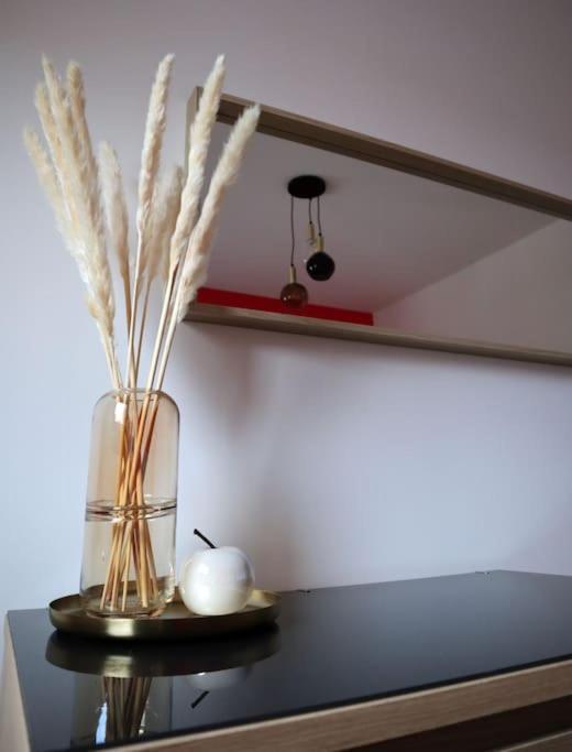 Superbe Duplex En Hypercentre Ville Αμιάν Εξωτερικό φωτογραφία